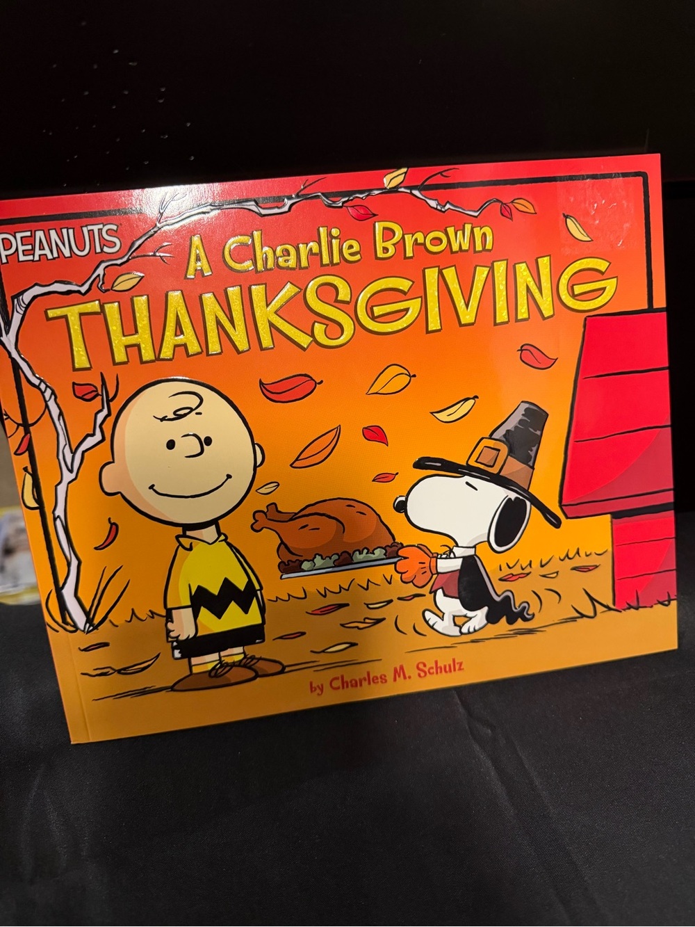 Peanuts A Charlie Brown Thanksgiving Softcover Book. Brand New.